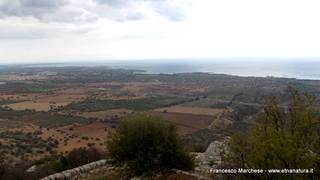 stello marchesa di Cassibile-10-02-2015 19-59-28